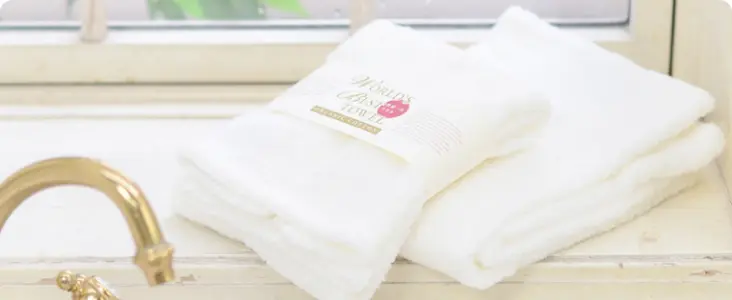 The World's Best<span class='text-blue-300'>｜</span>Face Towel